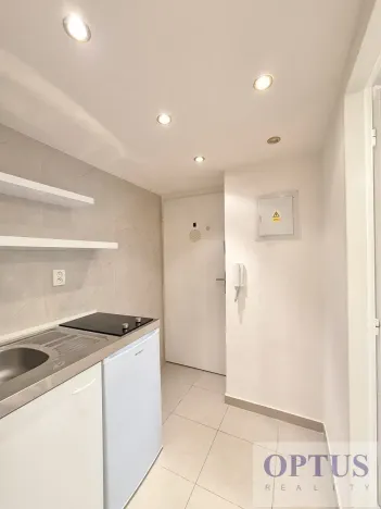 Pronájem bytu 1+kk, Praha - Podolí, Levá, 25 m2