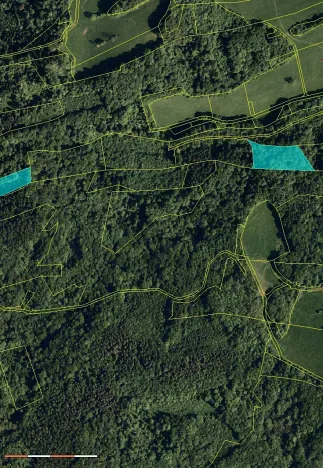 Prodej lesa, Ženklava, 21563 m2