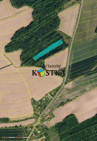 Prodej lesa, Brušperk, Fryčovická, 6710 m2