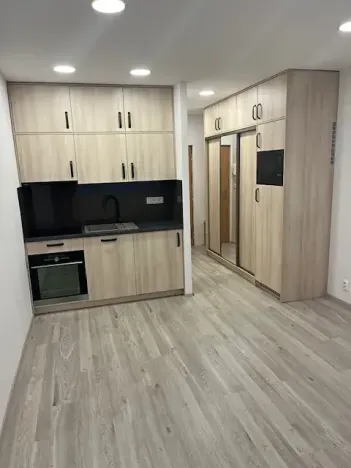 Pronájem bytu 1+kk, Praha - Záběhlice, Jahodová, 30 m2