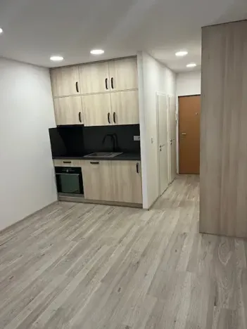Pronájem bytu 1+kk, Praha - Záběhlice, Jahodová, 30 m2