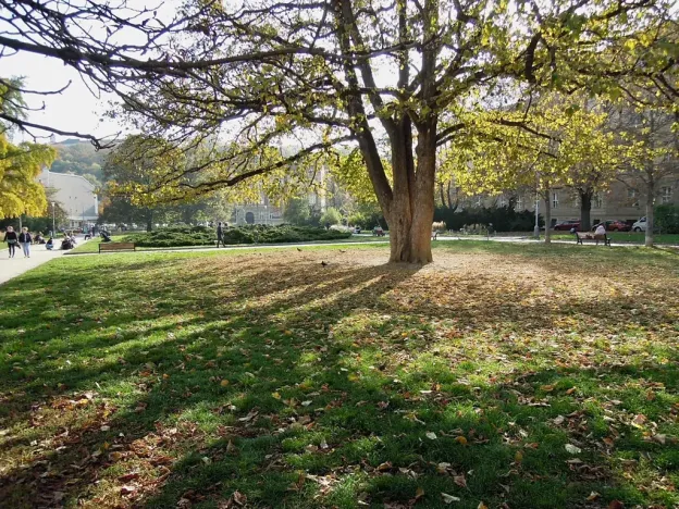 Pronájem bytu 3+1, Brno, Údolní, 106 m2