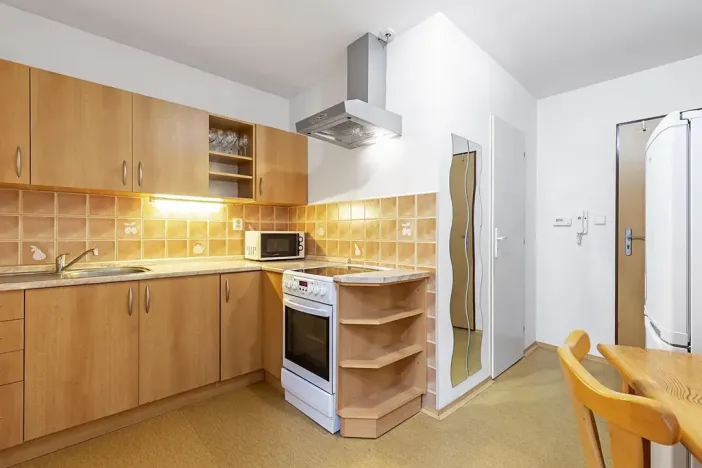 Pronájem bytu 1+1, Brno, Spolková, 41 m2