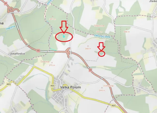 Prodej lesa, Velká Polom, 3922 m2