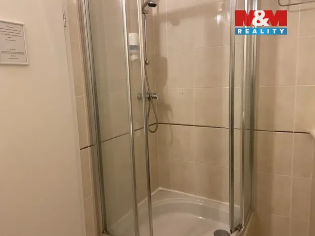 Pronájem bytu 4+kk, Plzeň - Vnitřní Město, Zbrojnická, 110 m2