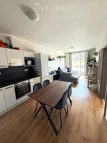 Pronájem bytu 2+kk, Brno, Přadlácká, 56 m2