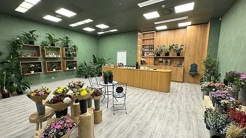 Pronájem obchodního prostoru, Brno, náměstí Svobody, 64 m2