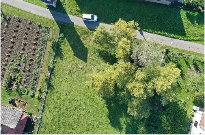 Prodej pozemku pro bydlení, Vrbice, 938 m2