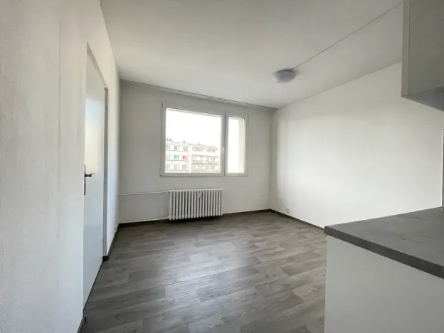 Pronájem bytu 1+1, Litvínov, Rooseveltova, 34 m2