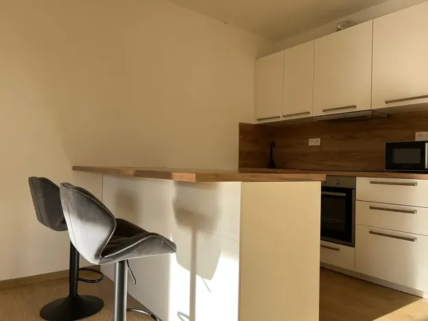 Pronájem bytu 1+kk, Slaný, Lázeňská, 35 m2