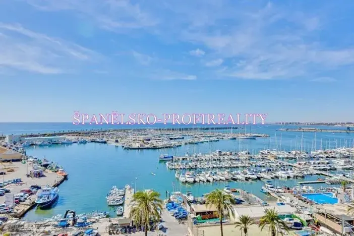 Prodej bytu 1+kk, Torrevieja, Španělsko, Calle Los gases, 40 m2