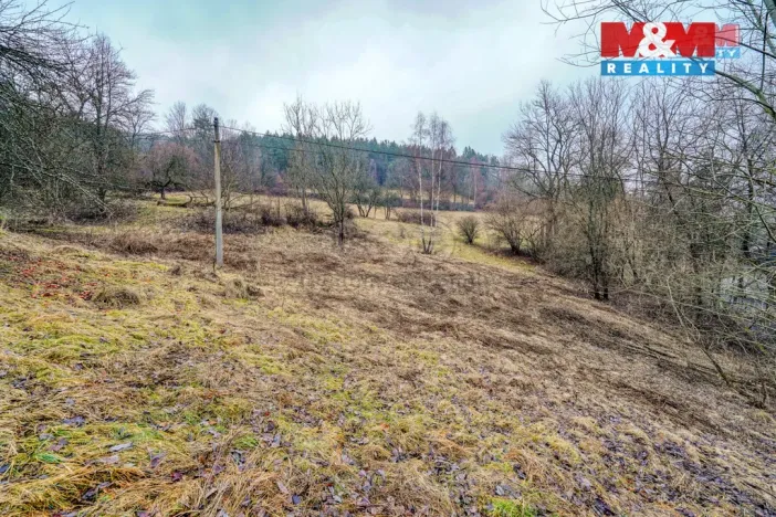 Prodej pozemku pro bydlení, Sušice - Nuzerov, 2649 m2