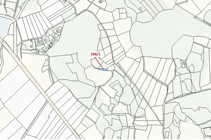 Dražba louky, Zavlekov, 272 m2