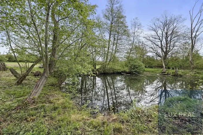 Prodej pozemku pro bydlení, Petrůvky, 11472 m2