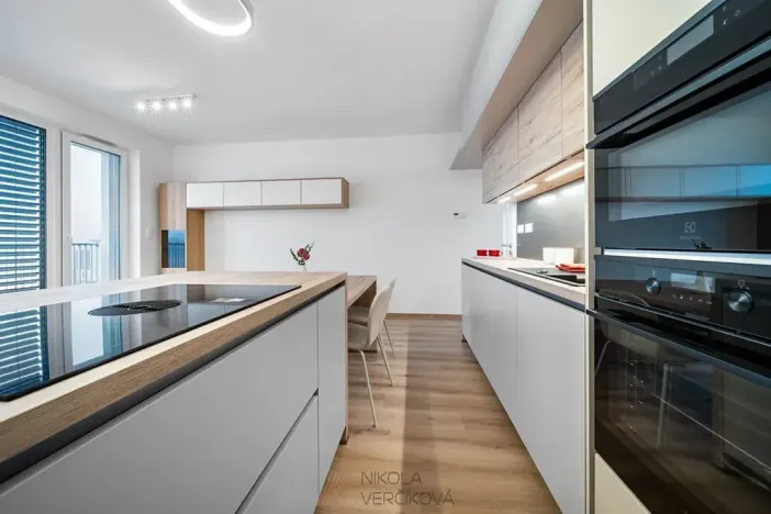 Pronájem bytu 3+kk, Brno, Rybářská, 63 m2