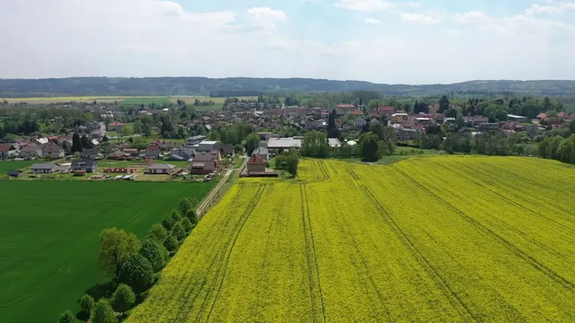 Prodej pozemku pro bydlení, Miletín, Lhotova, 16853 m2