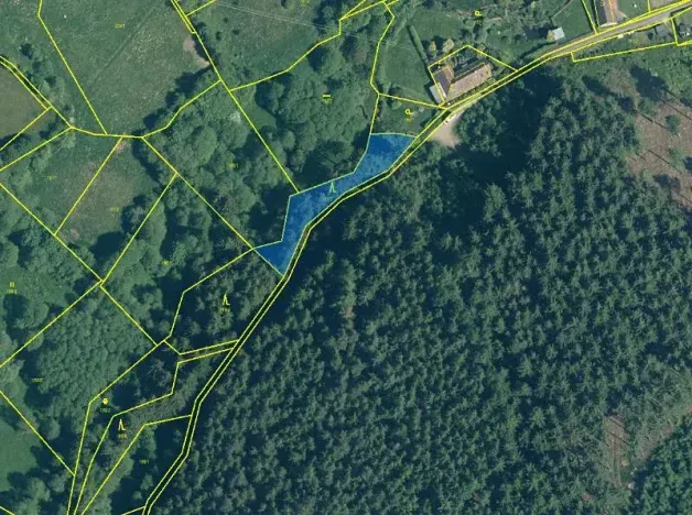 Prodej lesa, Žihobce, 802 m2