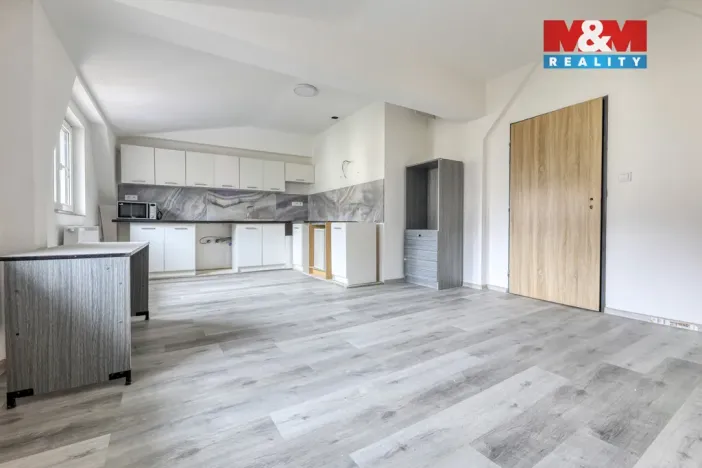 Prodej rodinného domu, Konstantinovy Lázně, Růžová, 767 m2