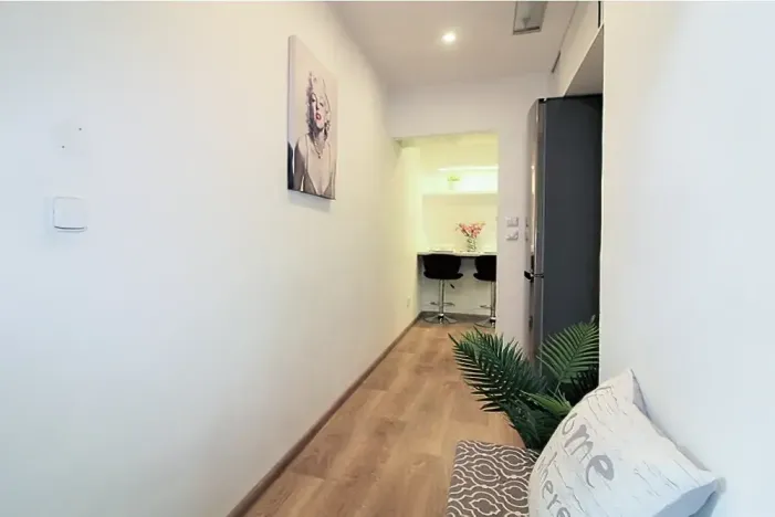 Pronájem bytu 1+1, Praha - Karlín, Vítkova, 43 m2