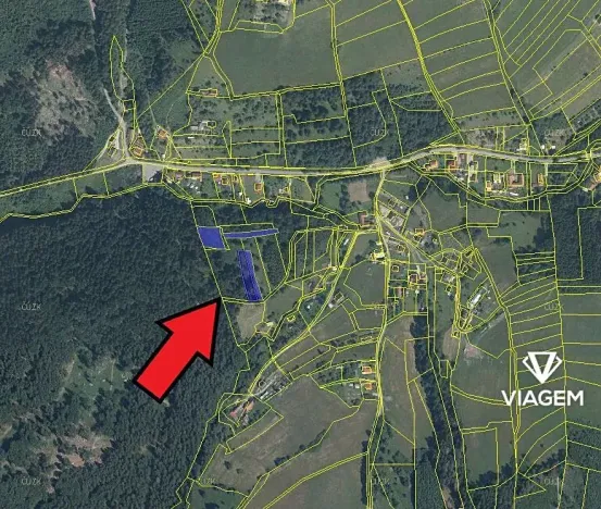 Prodej lesa, Mikulůvka, 3813 m2