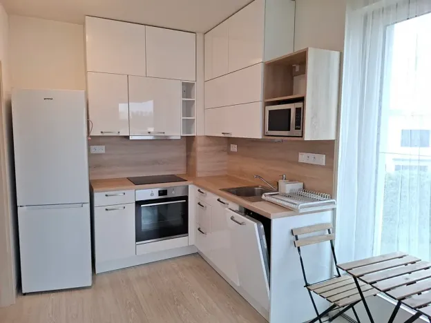 Pronájem bytu 1+kk, Brno, Kyselkova, 35 m2