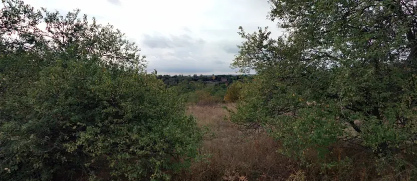 Pronájem zahrady, Dolní Kounice, 1406 m2