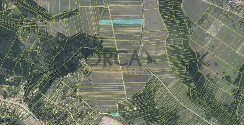 Prodej sadu/vinice, Dolní Kounice, 1926 m2