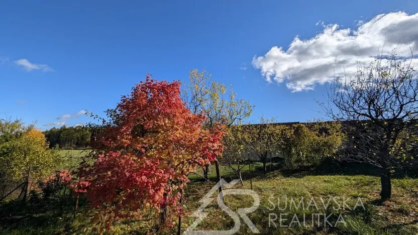 Prodej pozemku, Soběšice - Damíč, 716 m2
