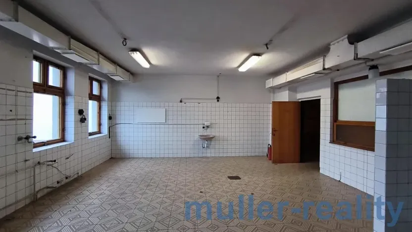 Prodej komerční, Žichovice, 753 m2