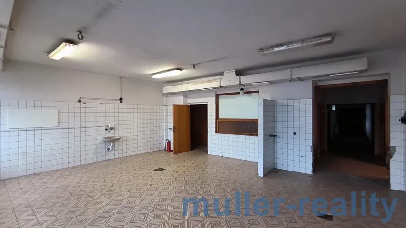 Prodej komerční, Žichovice, 753 m2