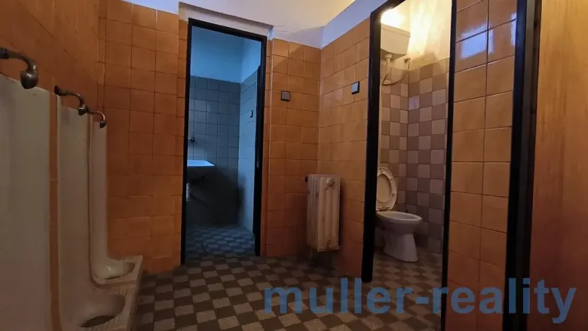 Prodej komerční, Žichovice, 753 m2