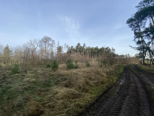 Prodej lesa, Kostelní Lhota, 9438 m2