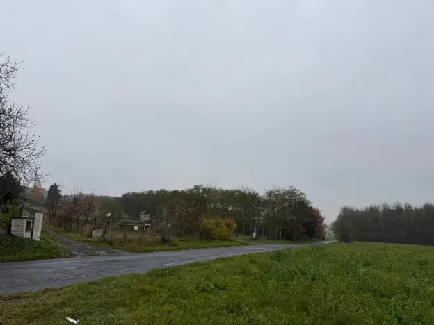 Prodej lesa, Bechlín, 10785 m2