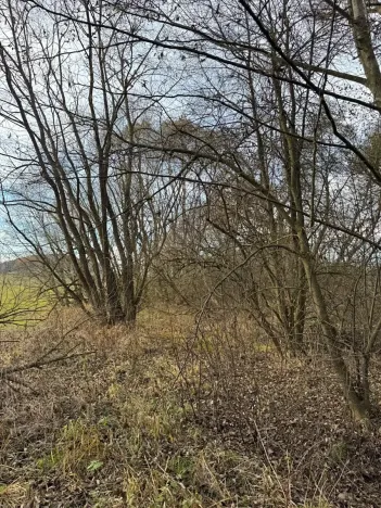 Prodej pozemku, Chvalšiny, 21761 m2