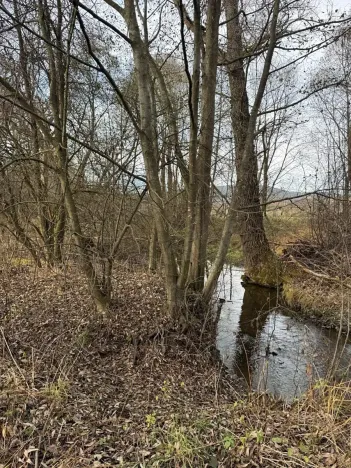 Prodej pozemku, Chvalšiny, 21761 m2
