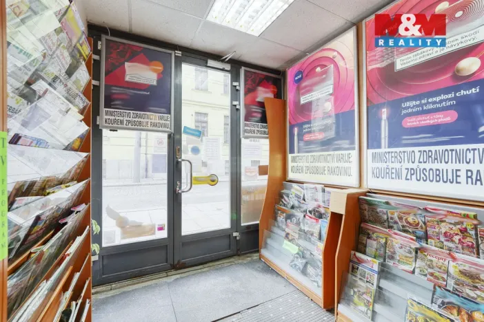 Pronájem obchodního prostoru, Plzeň - Jižní Předměstí, Goethova, 33 m2