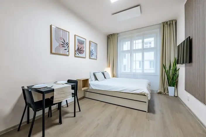 Prodej bytu 1+kk, Praha - Vyšehrad, Neklanova, 23 m2