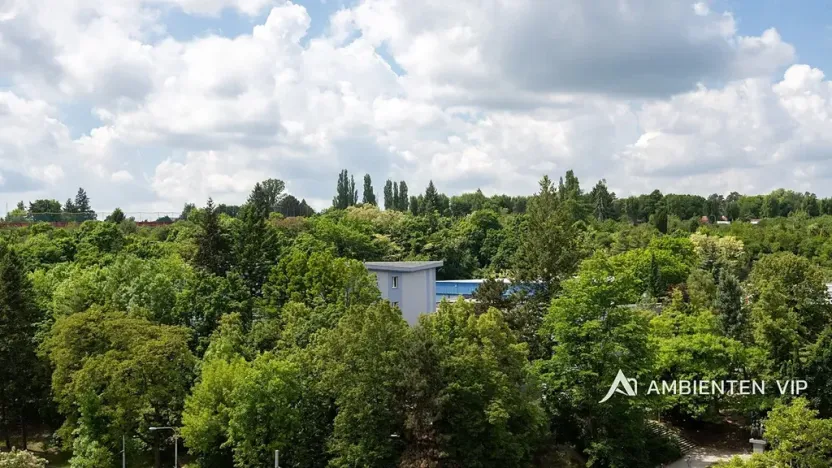 Prodej bytu 6+kk a větší, Brno, Čápkova, 209 m2