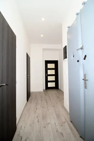 Prodej bytu 2+kk, Praha - Nusle, Nuselská, 52 m2