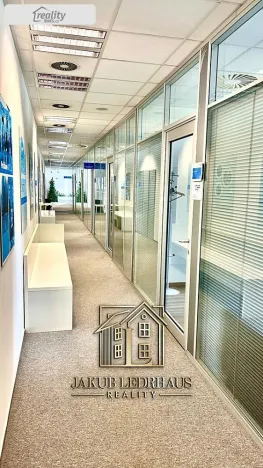 Pronájem kanceláře, Praha - Nové Město, Vladislavova, 974 m2