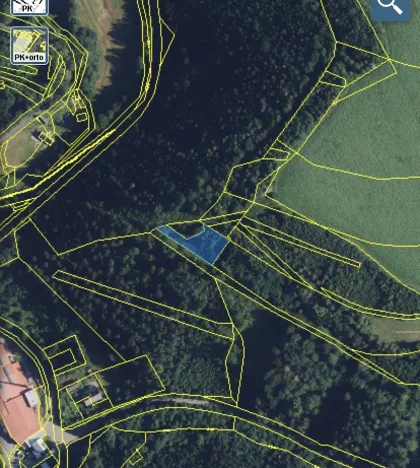Prodej lesa, Jedlí, 1198 m2