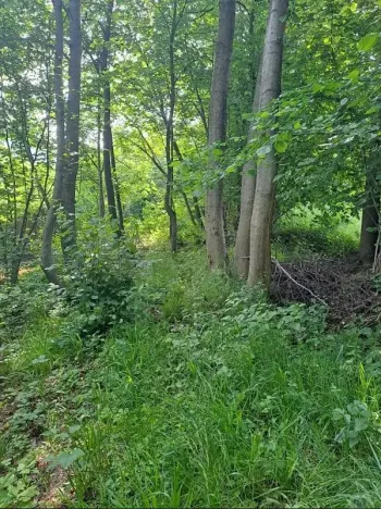 Prodej pozemku, Rožnov pod Radhoštěm, 126 m2