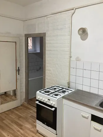 Pronájem bytu 1+1, Brno, Veslařská, 45 m2