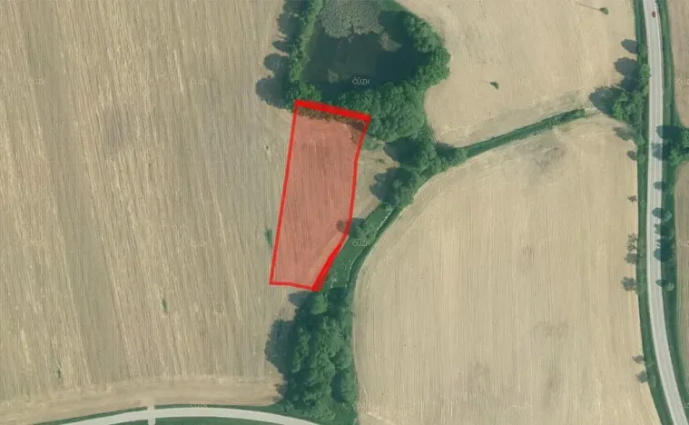 Prodej pole, Olešník, 23269 m2