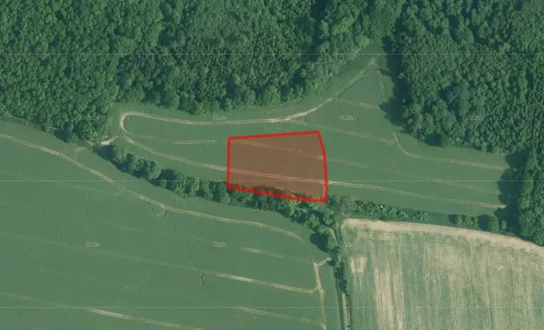 Prodej pole, Olešník, 23269 m2