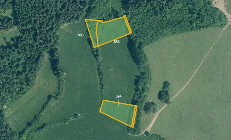 Prodej louky, Strašice, 4942 m2