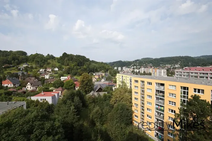 Prodej bytu 1+1, Železný Brod, Na Vápence, 41 m2