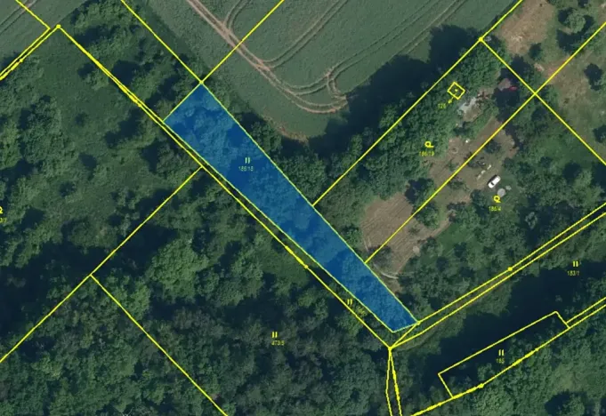 Prodej louky, Svijany, 1799 m2