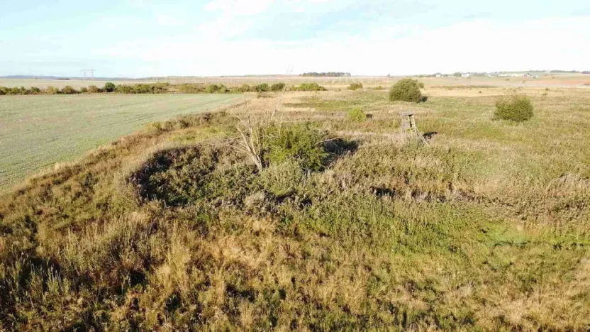 Prodej pozemku, Nesuchyně, 1802 m2