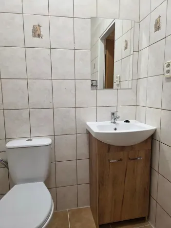 Prodej bytu 1+1, Brno, Jiráskova, 44 m2